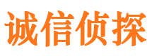 振兴侦探公司